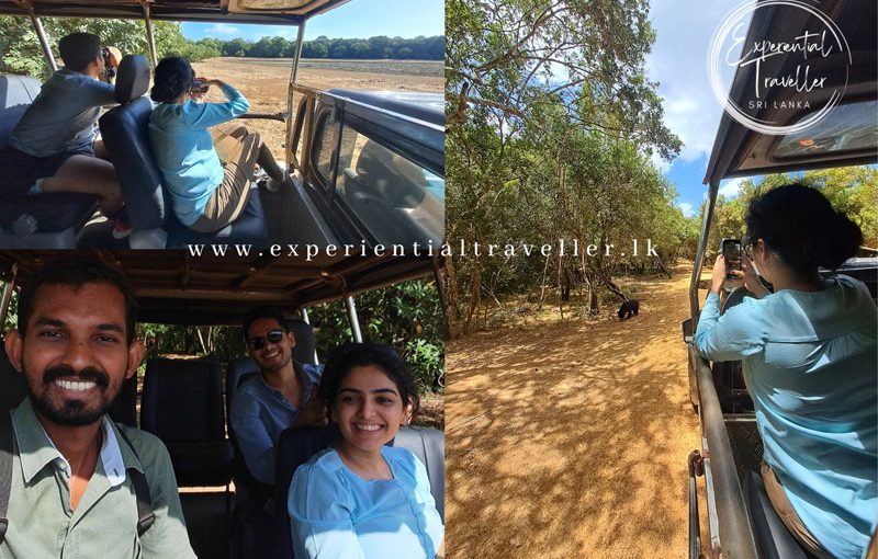 Experiencing the Best of Yala National Park An Evening Bush Walk and Morning Safari Drive