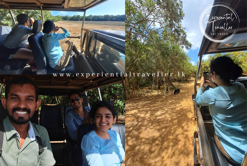 Experiencing the Best of Yala National Park An Evening Bush Walk and Morning Safari Drive