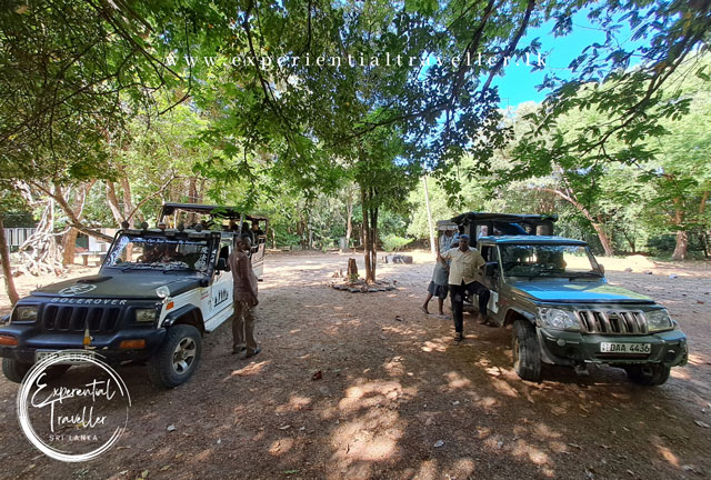 Successfully completed 2 and half-day safari drives to Wilpattu National Park